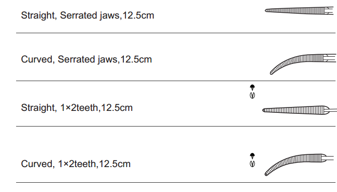 Delicate Serrated jaws.png