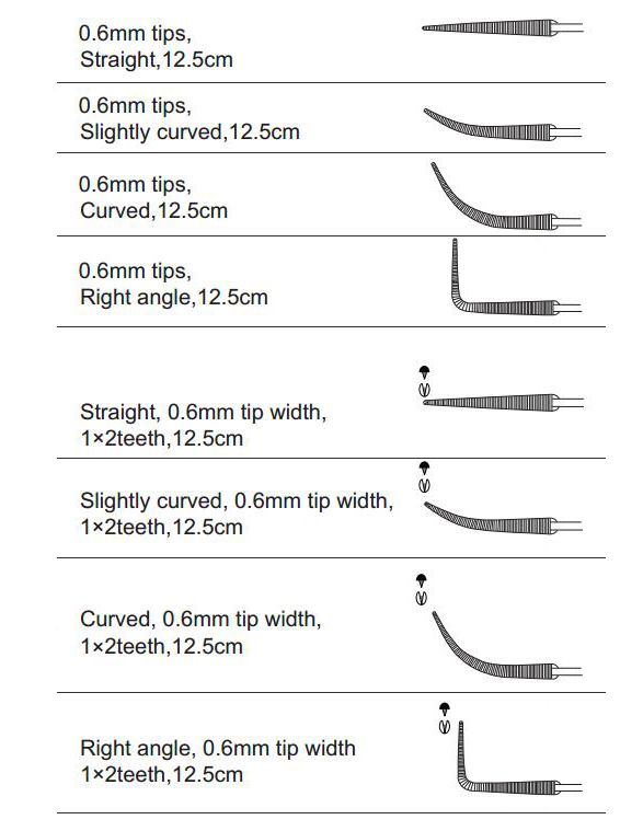 Very delicate serrated jaws.jpg