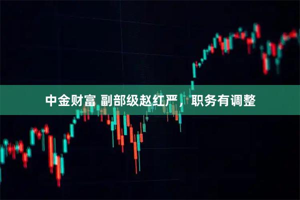 中金财富 副部级赵红严，职务有调整