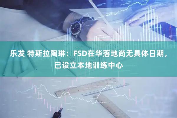 乐发 特斯拉陶琳：FSD在华落地尚无具体日期，已设立本地训练中心