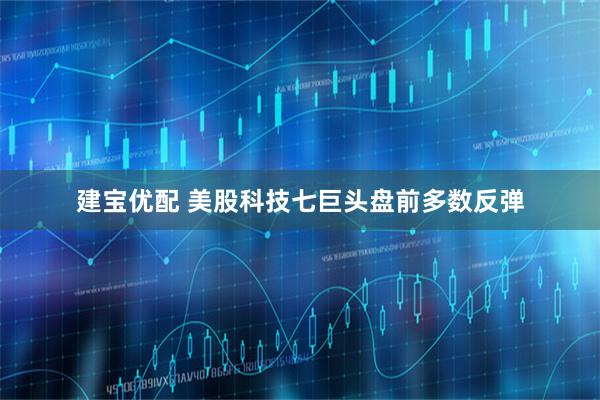 建宝优配 美股科技七巨头盘前多数反弹